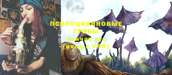 ешки Иннополис